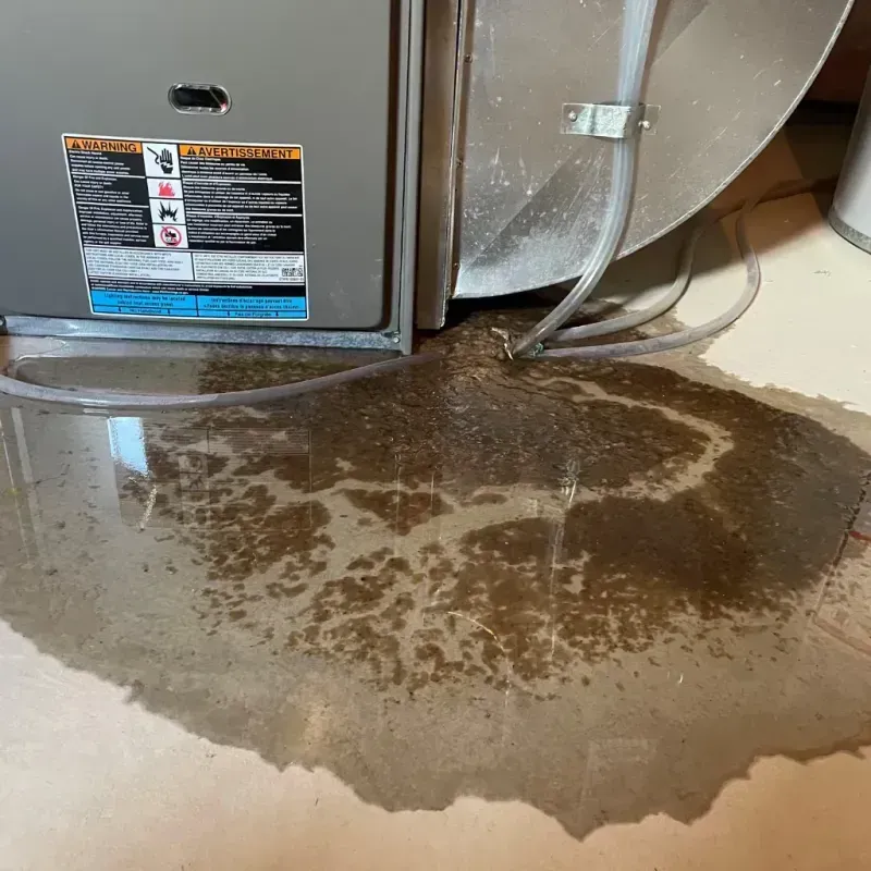 Appliance Leak Cleanup in Sussex County, NJ